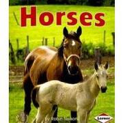 horses (en Inglés)